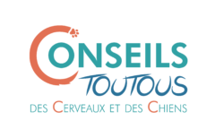 Consultante en comportement canin et neurobiologie du comportement